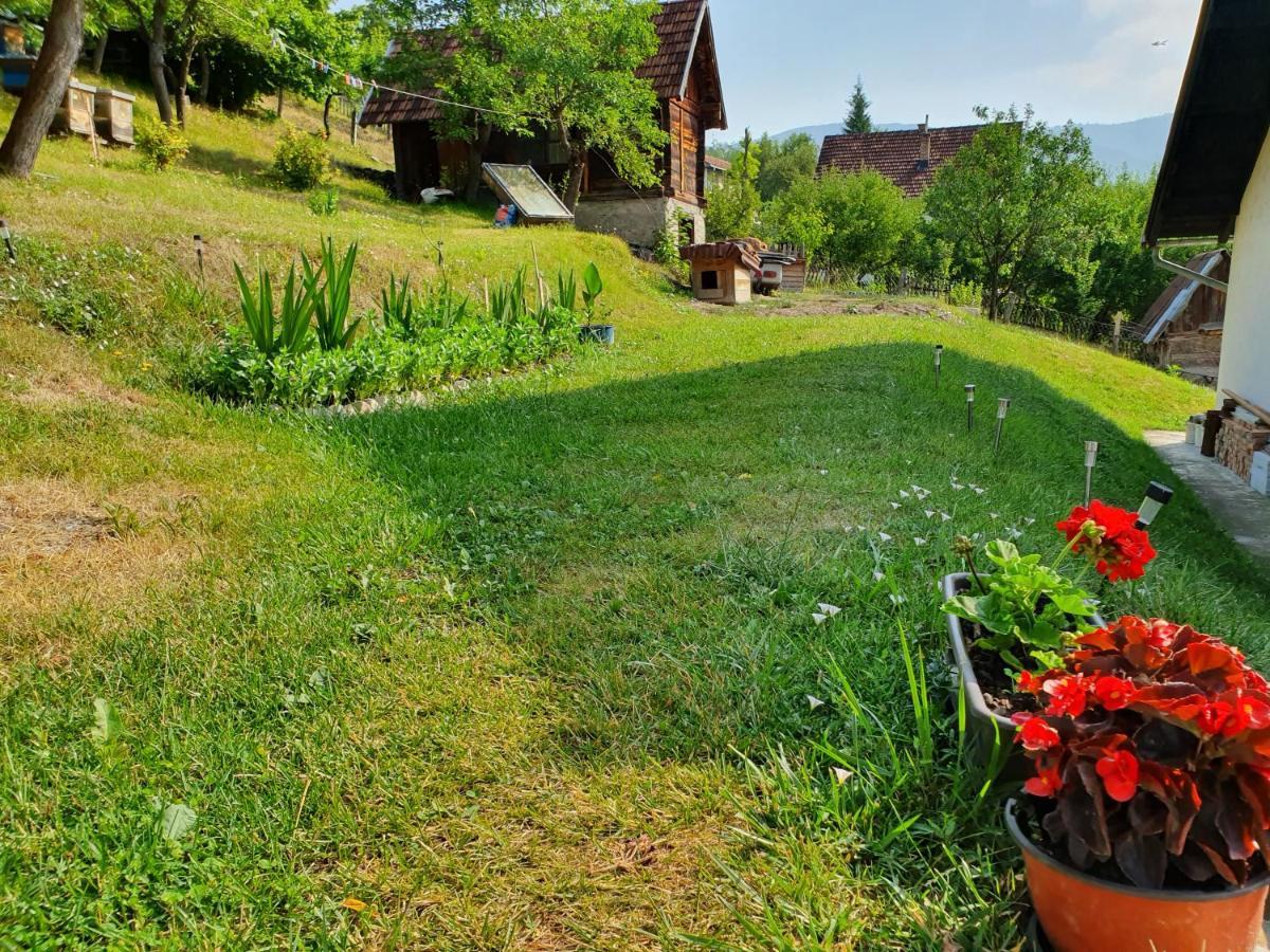 Apartman Draga Bed & Breakfast Mokra Gora Exterior photo